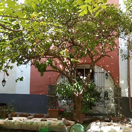 Casa Restart קסטלמרה די סטביה