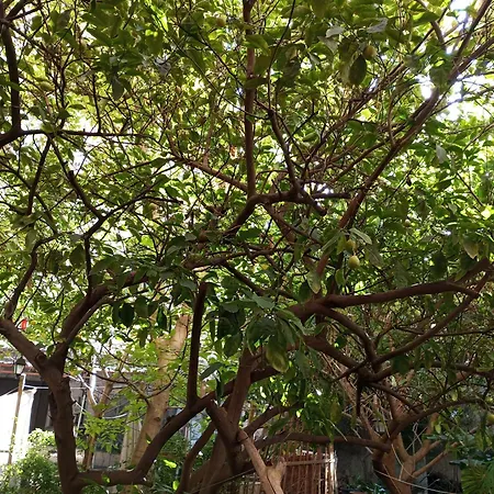 Casa Restart * Castellammare di Stabia